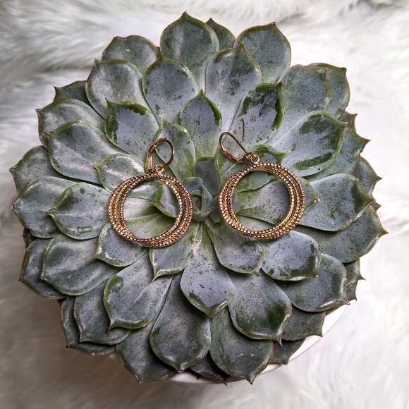 NWT ANNE KLEIN Gold Tone Drop Circle Earrings - Picture 2 of 6